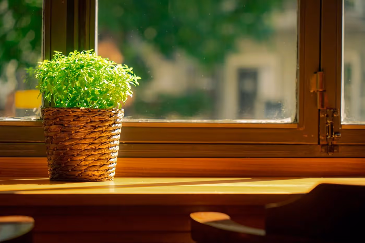 Soft daylight falling through sheer curtains in a calm, quiet room