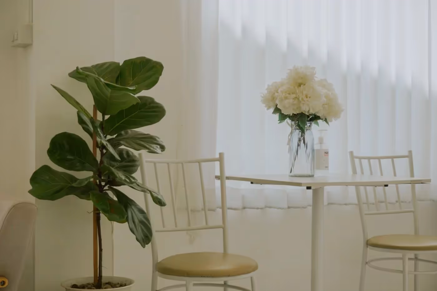 A dim room opening onto bright daylight through parted curtains