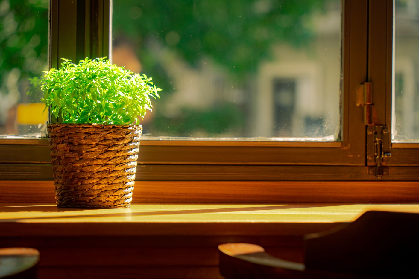 Soft daylight falling through sheer curtains in a calm, quiet room