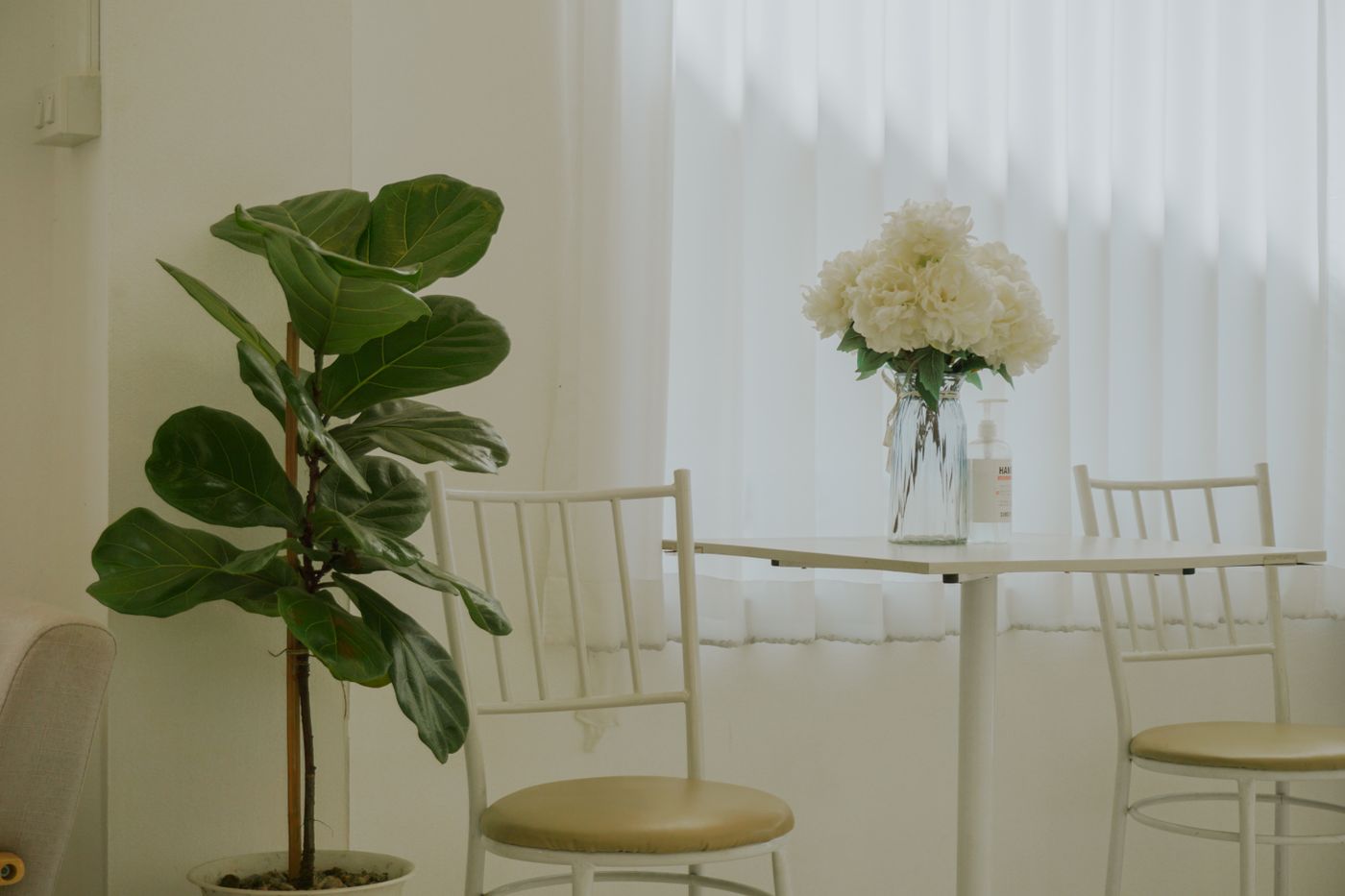 A dim room opening onto bright daylight through parted curtains